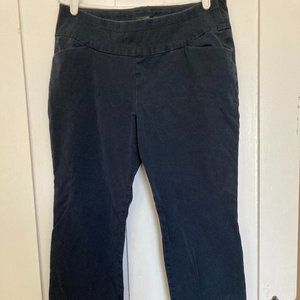 Lee Slim Fit Slim Leg Mid Rise Sculpting Womens Navy Pants 12 Medium Slacks